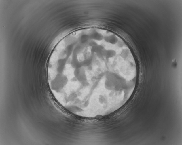 X0000114701242200912021101