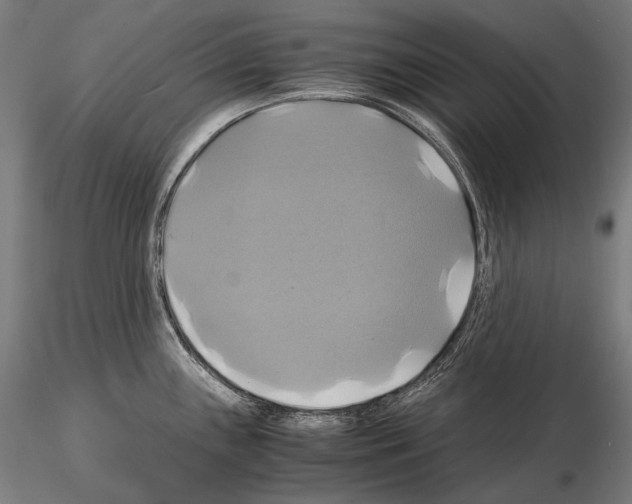 X0000114701243200912021101