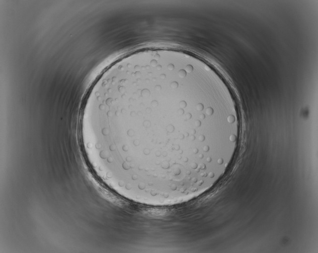 X0000114701245200912021101