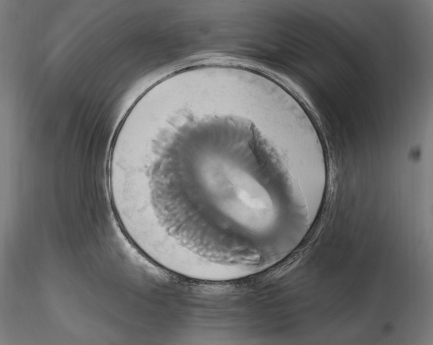 X0000114701247200912021101