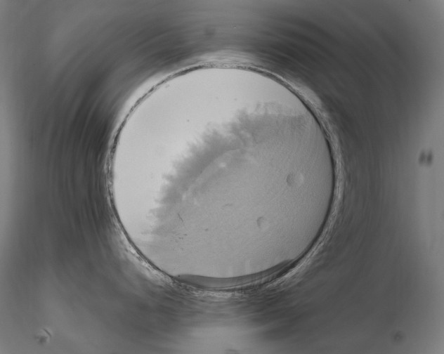 X0000114701248200912021101