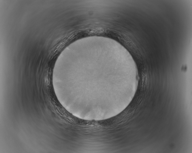 X0000114701250200912021100