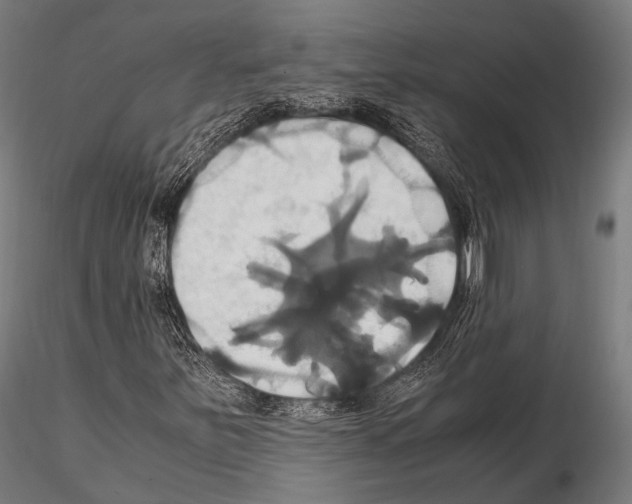 X0000114701251200912021100