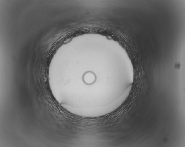 X0000114701253200912021100