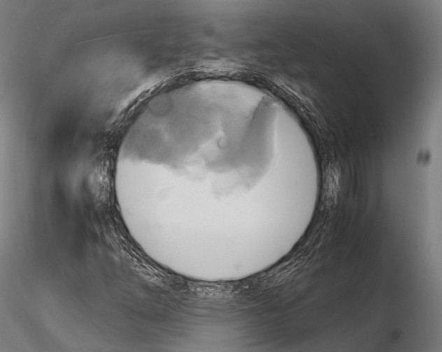 X0000114701254200912021100