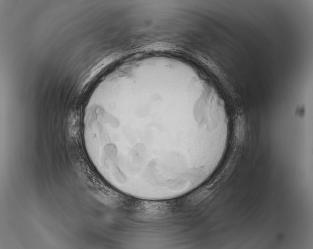 X0000114701258200912021100