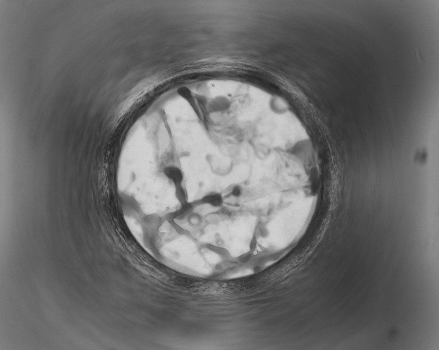 X0000114701259200912021100