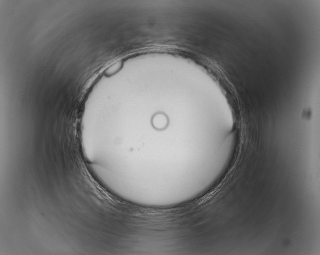 X0000114701260200912021100