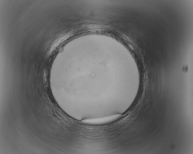 X0000114701261200912021100