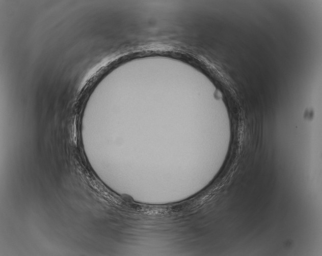 X0000114701262200912021100