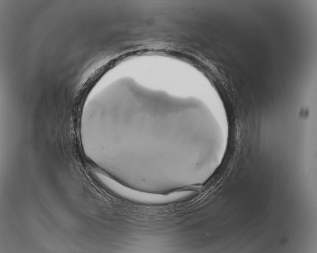 X0000114701263200912021100