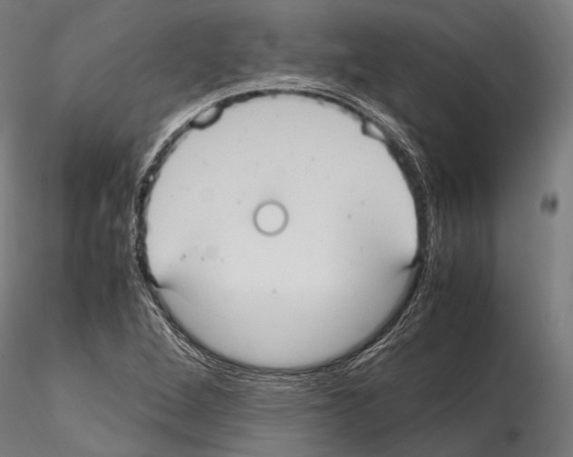 X0000114701264200912021100