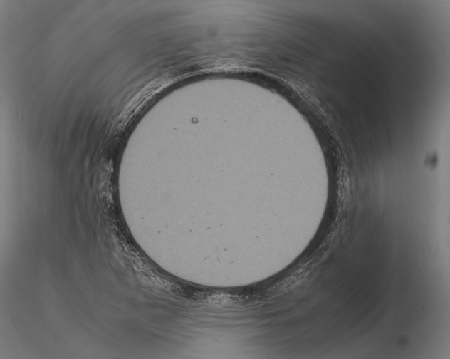 X0000114701265200912021100