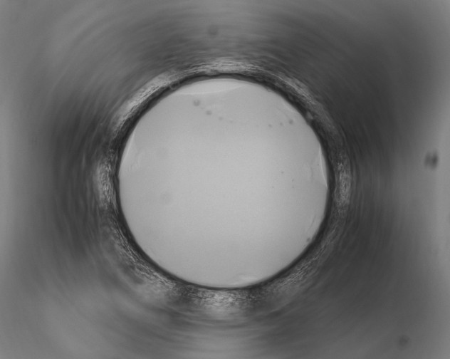 X0000114701266200912021100