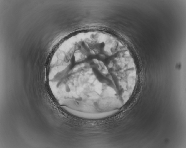 X0000114701267200912021100