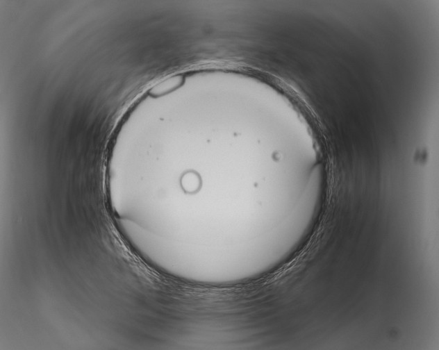 X0000114701268200912021100