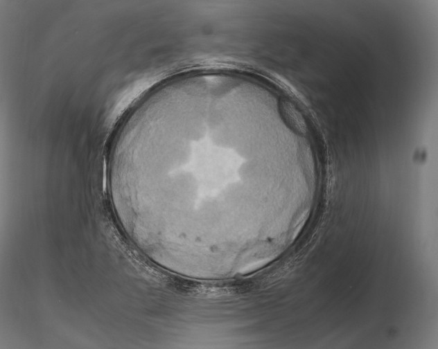 X0000114701269200912021100