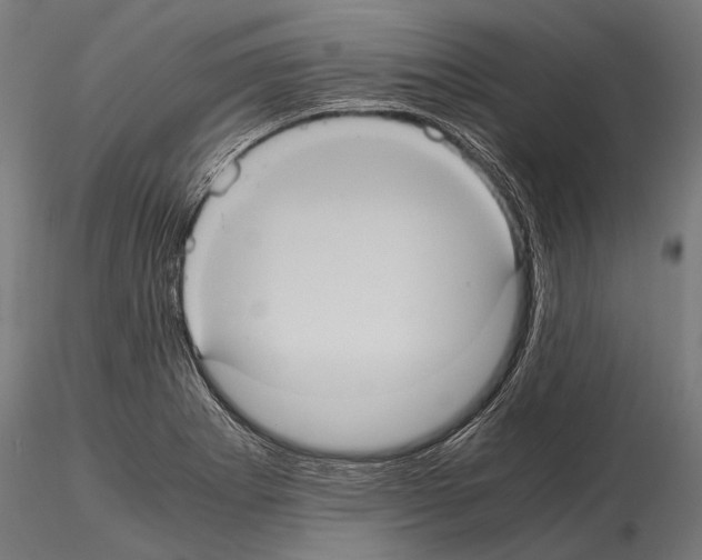 X0000114701273200912021100