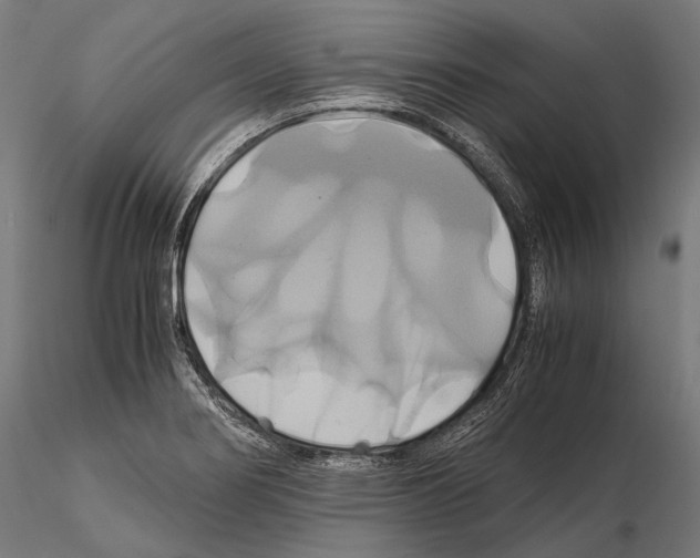 X0000114701274200912021100