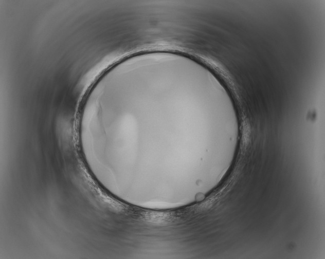 X0000114701278200912021100