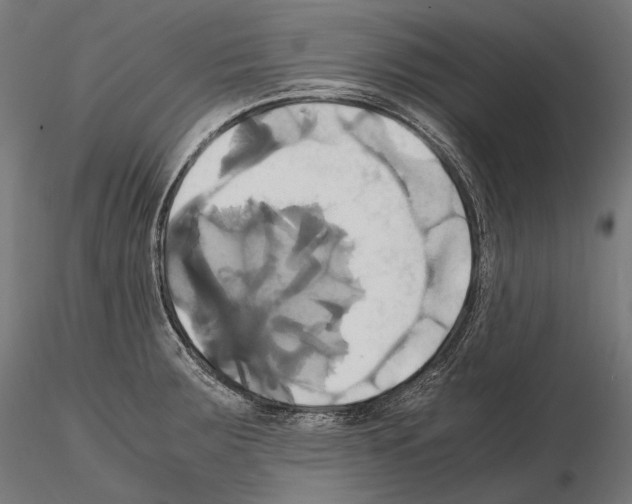 X0000114701283200912021100