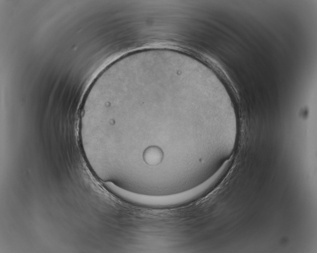 X0000114701284200912021100