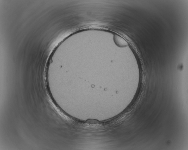 X0000114701285200912021059