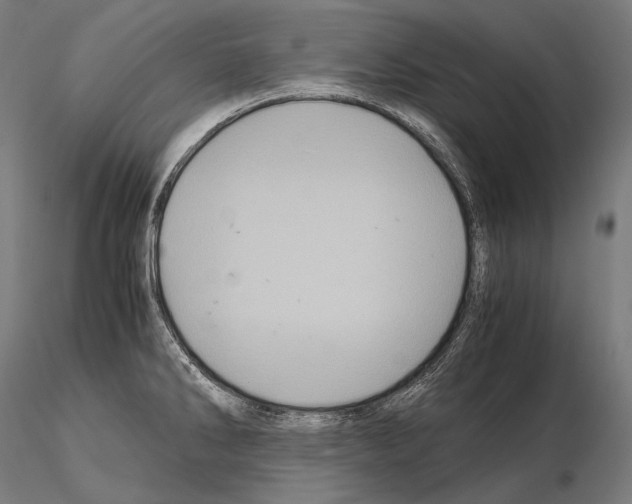 X0000114701286200912021059