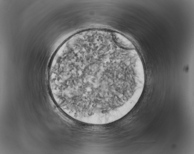 X0000114701287200912021059