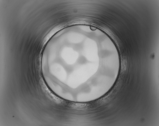 X0000114701290200912021059