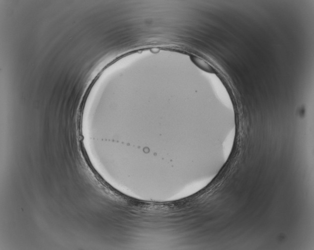 X0000114701291200912021059