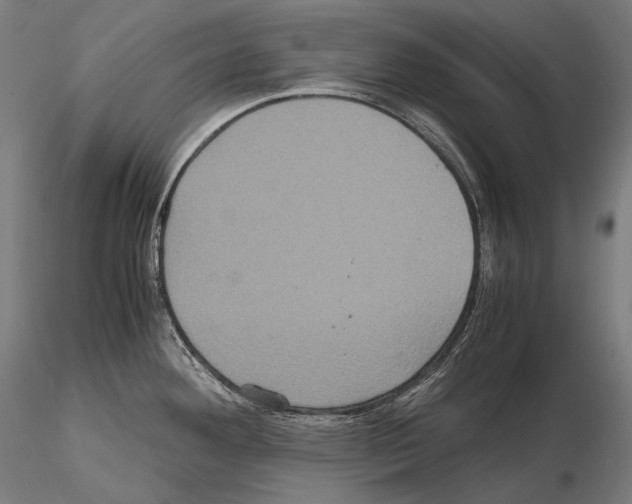 X0000114701292200912021059