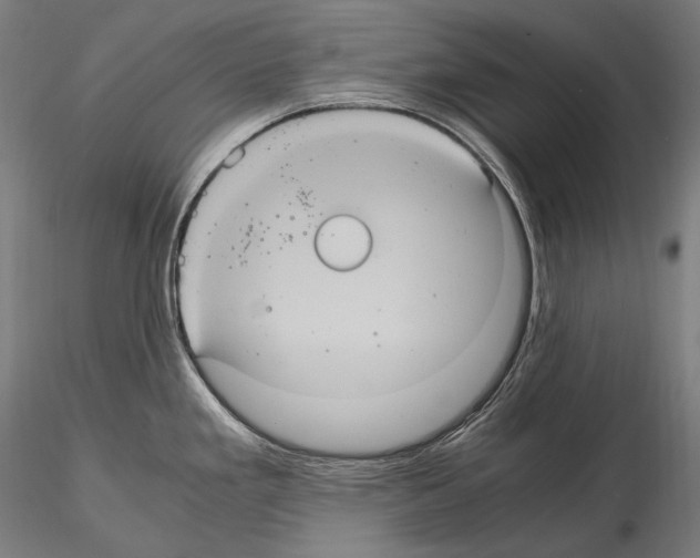 X0000114701293200912021059