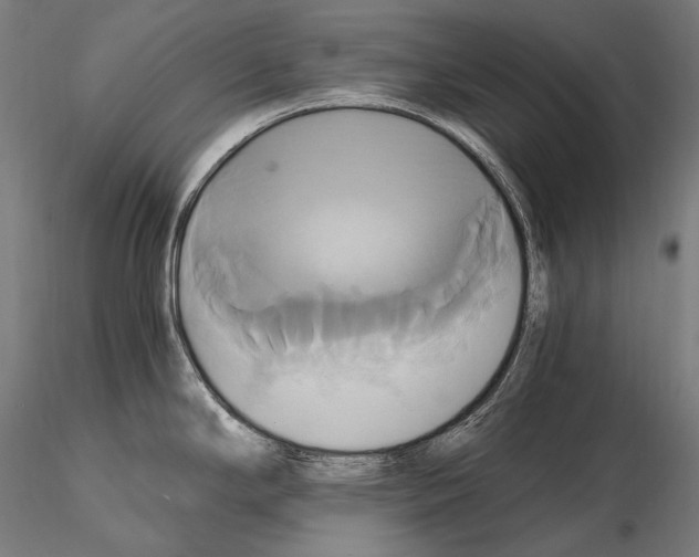 X0000114701294200912021059