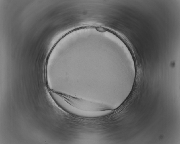 X0000114701295200912021059