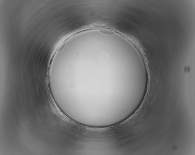 X0000114701296200912021059