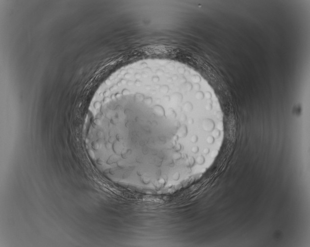 X0000114701297200912021059