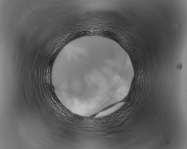 X0000114701298200912021059