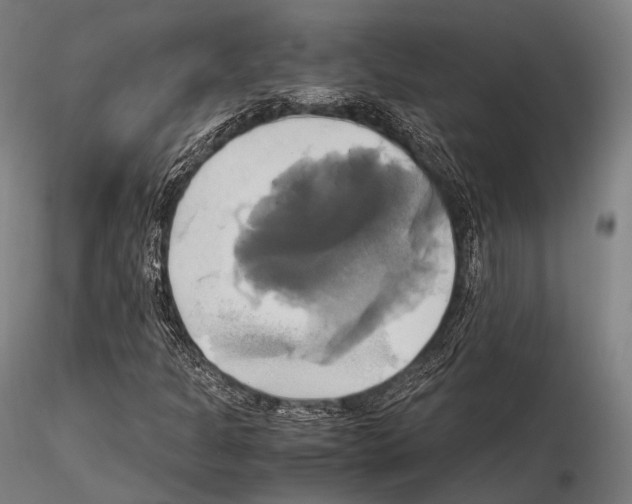 X0000114701301200912021059