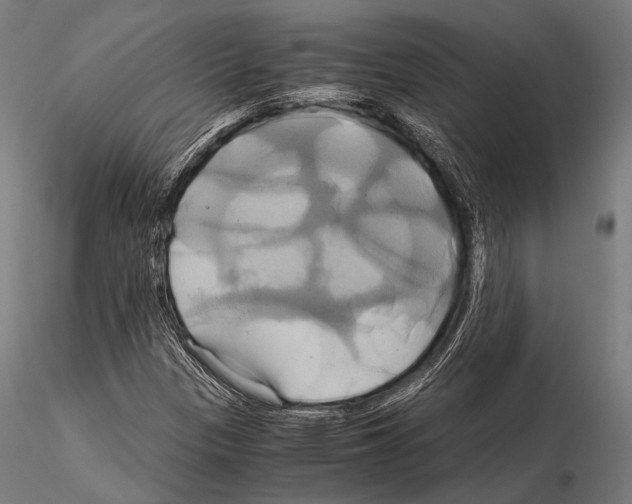 X0000114701305200912021059