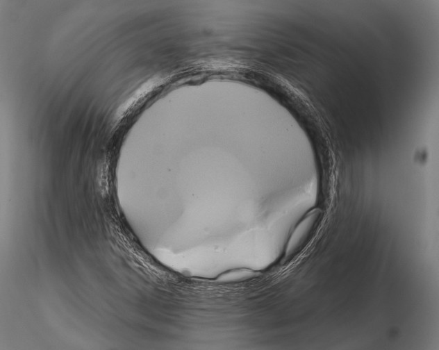 X0000114701306200912021059