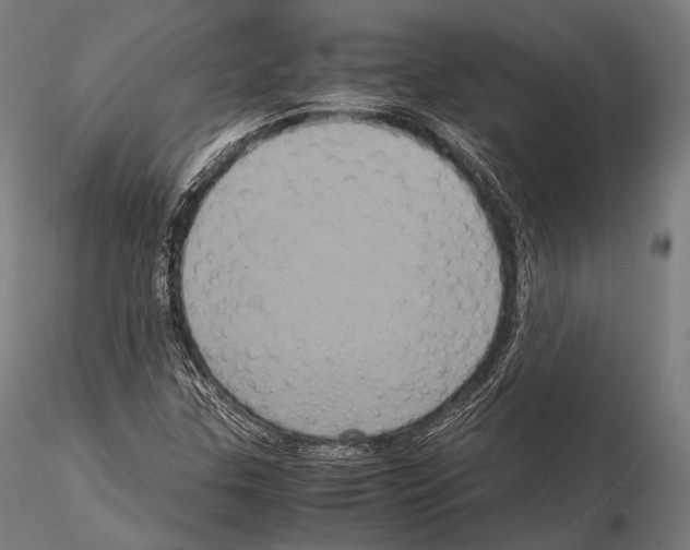 X0000114701307200912021059