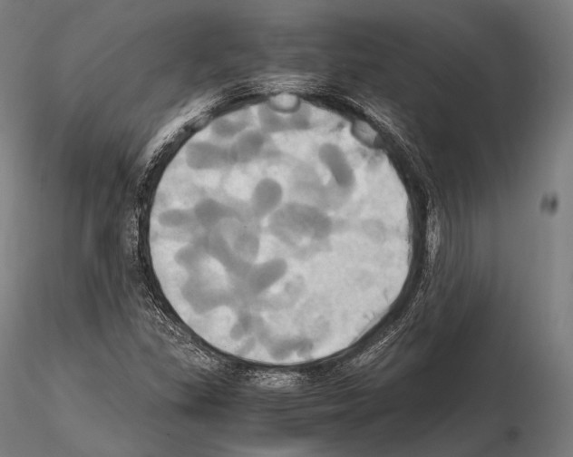 X0000114701309200912021059