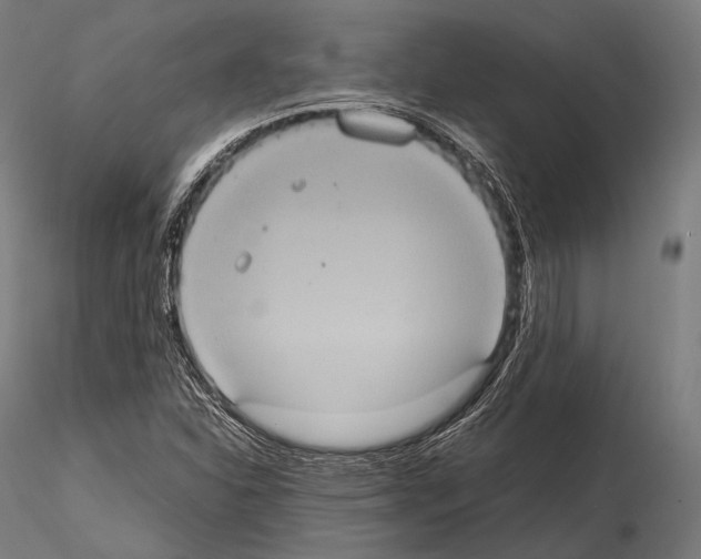 X0000114701310200912021059