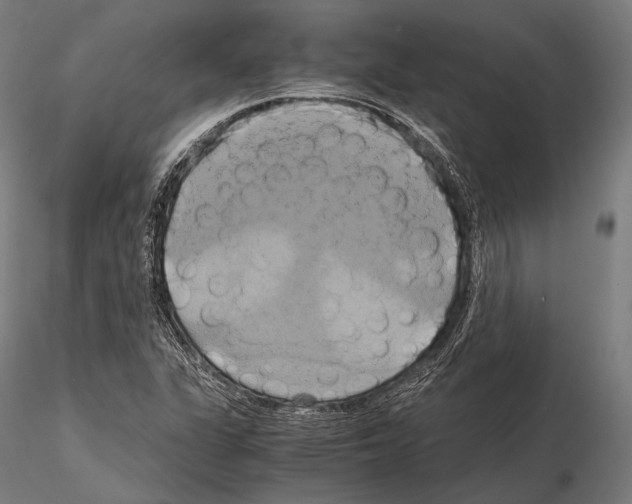 X0000114701311200912021059