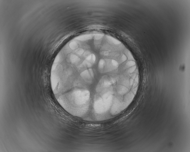 X0000114701313200912021059