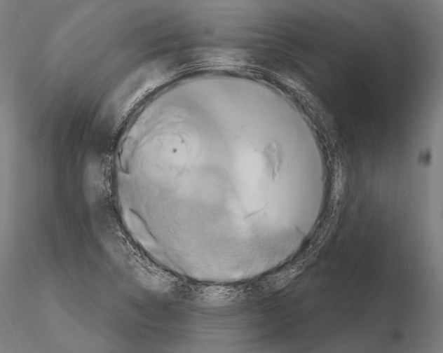 X0000114701314200912021059