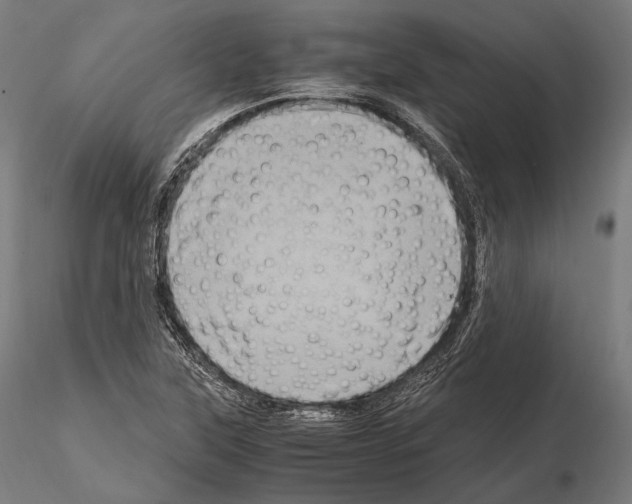 X0000114701315200912021059