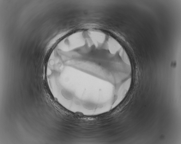 X0000114701317200912021059