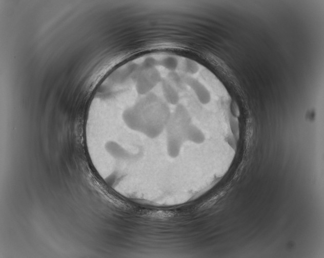 X0000114701321200912021059